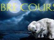 terrorisme, défi société