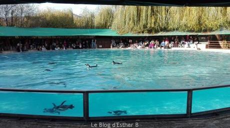 Pass Alsace : visites illimitées en famille Pass Alsace : visites illimitées en famille