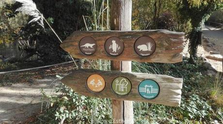 Pass Alsace : visites illimitées en famille Pass Alsace : visites illimitées en famille