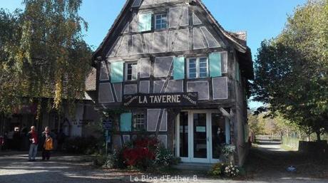 Pass Alsace : visites illimitées en famille Pass Alsace : visites illimitées en famille