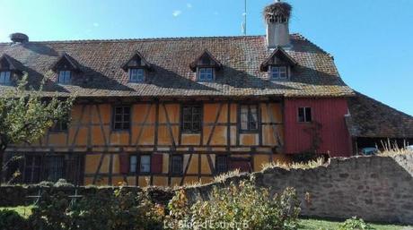 Pass Alsace : visites illimitées en famille Pass Alsace : visites illimitées en famille