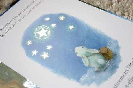 Petites lectures bienveillantes: Le merveilleux Noël de Plume