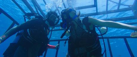 [CONCOURS] : Gagnez votre DVD/Blu-ray du film 47 Meters Down !