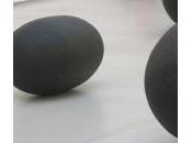 choix mois, octobre W.Laib