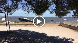 Forcez-vous à regarder les choses telles qu'elles sont