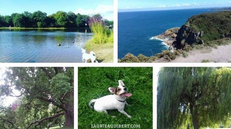 7 choses que mon déménagement à Rennes a changé en moi