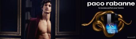 Ce que tout le monde devrait savoir sur Incenza