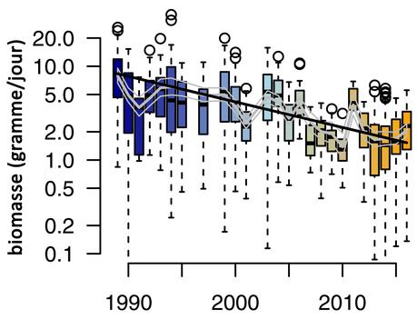 En Allemagne, 76% de la biomasse des invertébrés volants a disparu en près de 30 ans.