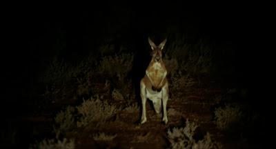 Réveil dans la terreur - Wake in Fright, Ted Kotcheff (1971) Réveil dans la terreur - Wake in Fright, Ted Kotcheff (1971)