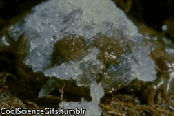 L'écophysio, c'est chaud!