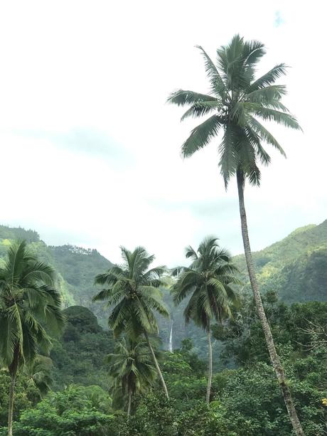 ♥ ♥ ♥ ♥ ♥     Nuku Hiva   ♥ ♥ ♥ ♥ #    - Les îles Marquises         -    La Polynésie Française  #  -  DREAM & FOOD TRAVEL GUIDE