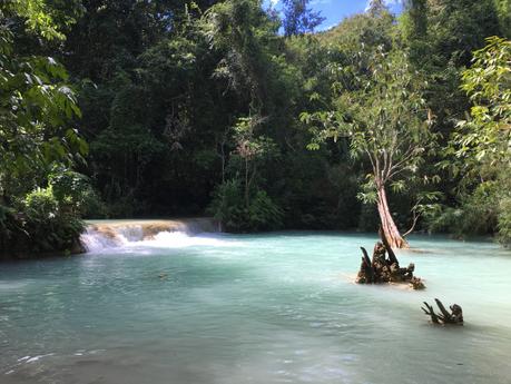 Kuang Si Falls : les chutes d’eau les plus magiques que j’ai pu voir (Laos)