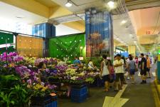 Au paradis des fleurs et du jade à Taipei  !!