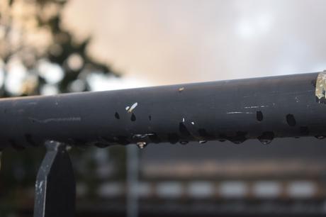 3 semaines dans notre nouvelle vie ? 3 semaines dans notre nouvelle vie ?