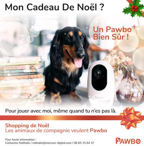 #Animaux : Mon cadeau de #Noël ? Un Pawbo bien sûr !