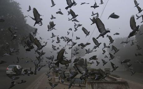 Les photos de New Delhi sous un épais nuage de pollution