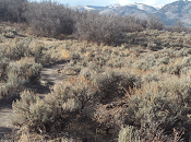 Pistes pour moins jeunes