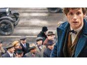 Animaux Fantastiques titre photo