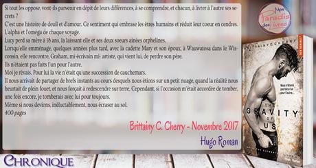The Elements #4 – The Gravity of us – Brittainy C. Cherry