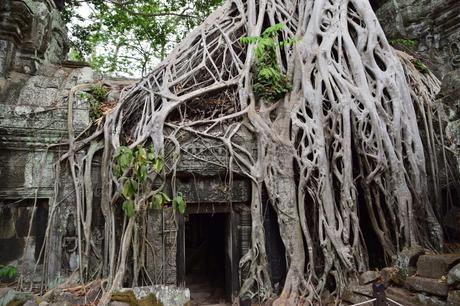 La promenade dans Angkor