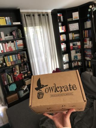 Unboxing Owlcrate – CASTLES, COURTS & KINGDOMS!