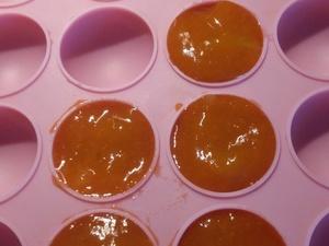 Dôme mousse d'Abricots et fleur d'Oranger Cliquer sur les photographies pour les agrandir