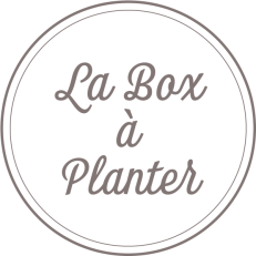 Box à Planter Mamijote Box à Planter Mamijote