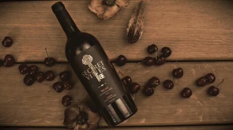 Tout savoir sur la dégustation du vin Tout savoir sur la dégustation du vin