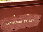 journée dans vignes avec champagne Cattier