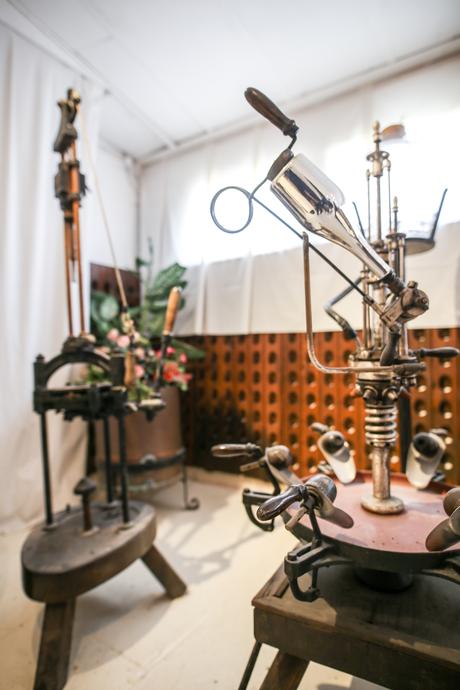 Une journée dans les vignes avec le champagne Cattier champagne cattier