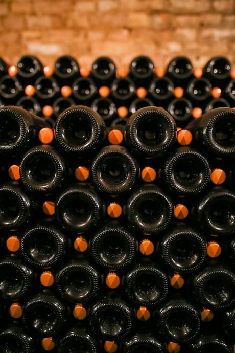 Une journée dans les vignes avec le champagne Cattier champagne cattier