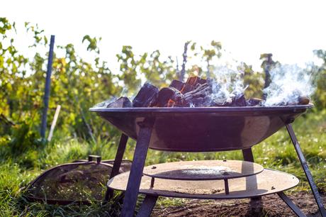 Une journée dans les vignes avec le champagne Cattier champagne cattier