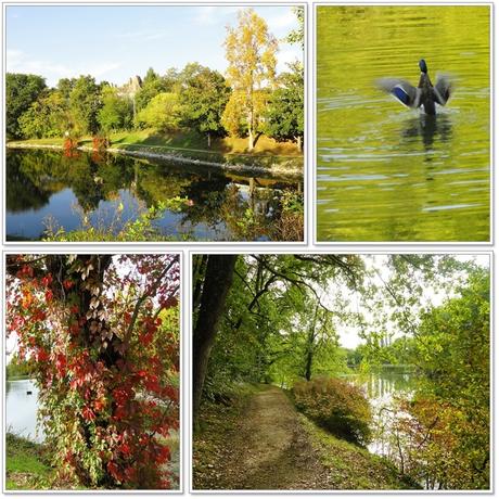 Automne dans le 47 (Lot-et-Garonne) 1 Automne dans le Lot-et-Garonne 1