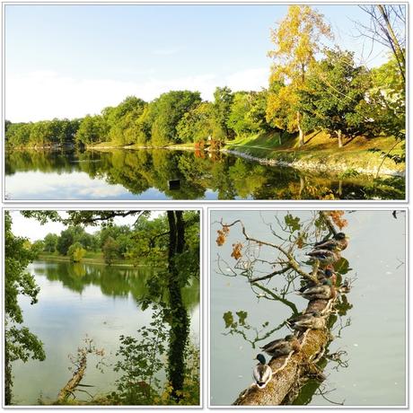 Automne dans le Lot-et-Garonne 1