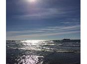 Celle pris vacances, dédicacé premiers romans écrit Mémoire d'ange