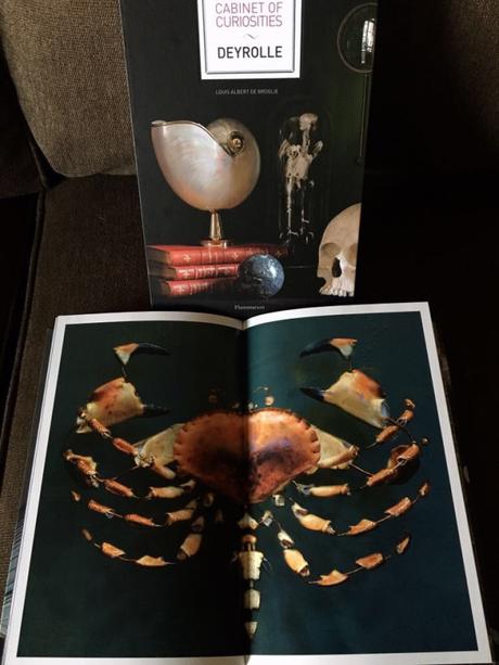 (Beau-Livre) « Deyrolle, un cabinet de curiosités » : les secrets de la taxidermie