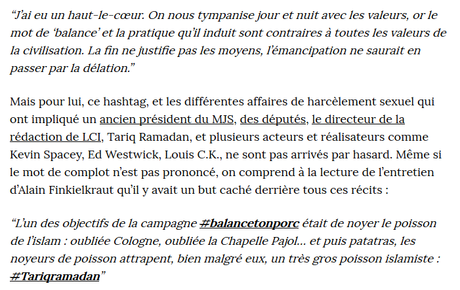 #balancetonporc, ton raciste, ton complotiste et ton #républicaniste haineux : #Finkie