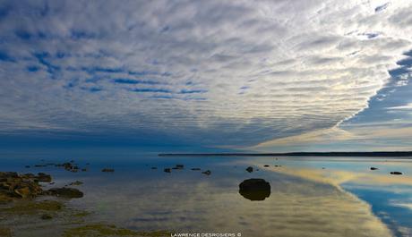 Novembre (reprise numéro trois)...