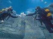 Tous samedis soirs, l’Aquarium Paris ouvre portes avec Nights