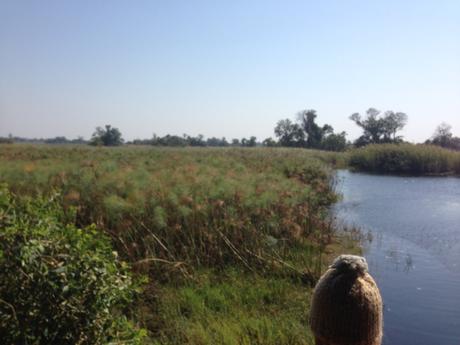 Botswana – Okavango