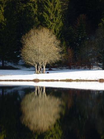 blog littéraire de christian cottet-emard,carnet photo,lac genin,promenade,nature,campagne,forêt,lac glaciaire,christian cottet-emard,saison,tour du lac