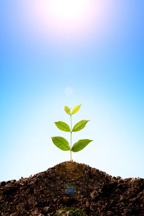 ANGIOGENÈSE : La clé pour faire pousser de nouveaux vaisseaux