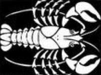 HOROSCOPE SYMBOLIQUE Cancer