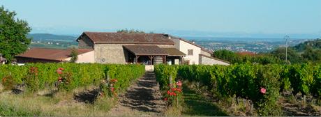 Les trésors cachés de l’AOC Coteaux du Lyonnais principale