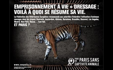 Interdiction des animaux dans les cirques, association Zoopolis