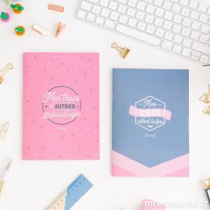 mrwonderful_8435460721370_set-cahiers_a5_argentee_fr-7