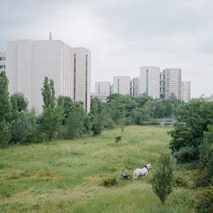 Exposition Paysages Francais Cyrille Weiner