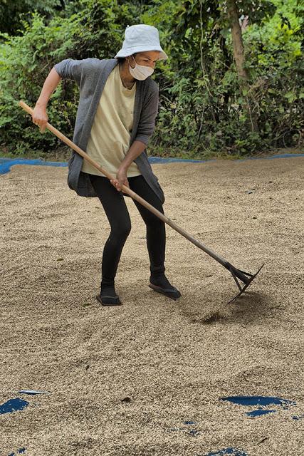 Les tristes maths du riz Les tristes maths du riz