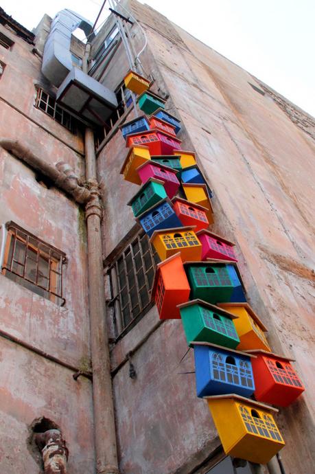 Dambo, le street artist qui a fabriqué 3500 nichoirs à oiseaux