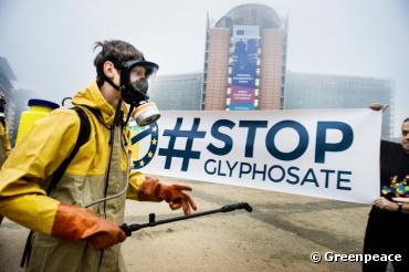 Bruxelles réautorise le glyphosate pour cinq ans